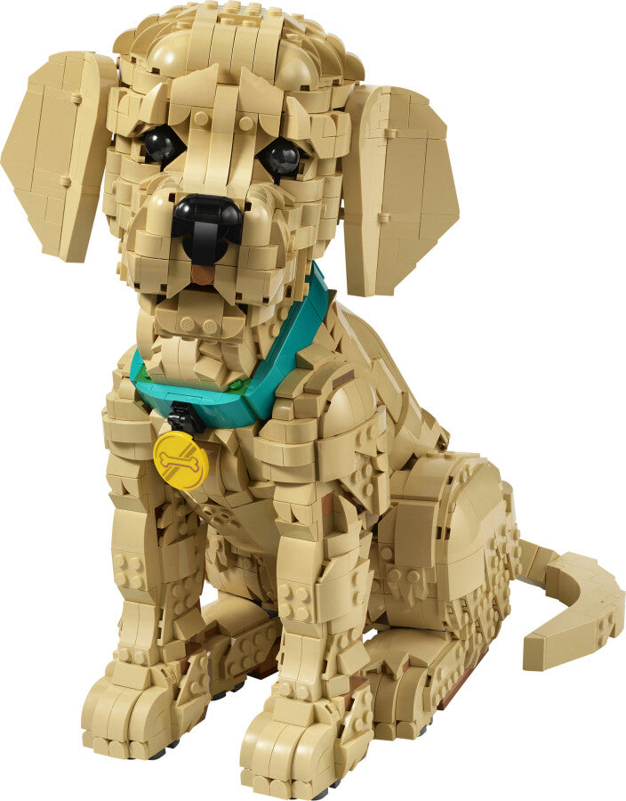 11384 Lego icons Yavru Golden Retriever 2102 parça +18 yaş