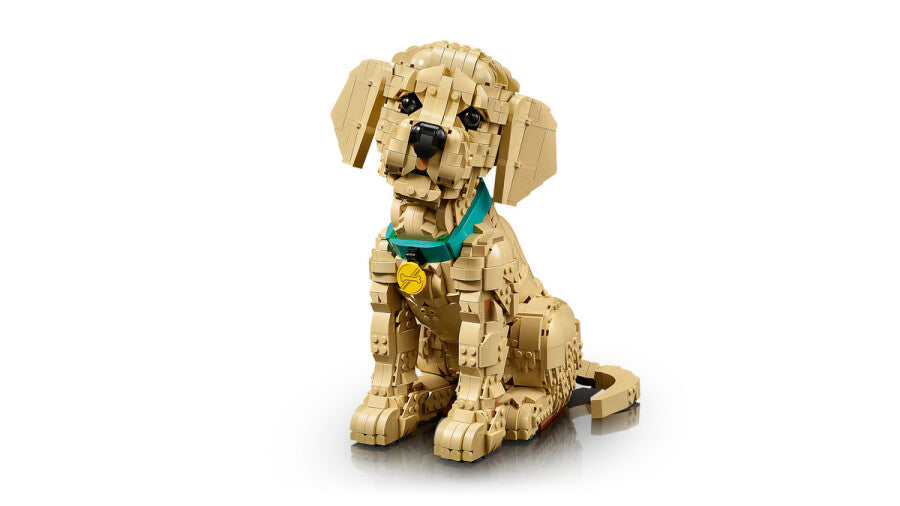 11384 Lego icons Yavru Golden Retriever 2102 parça +18 yaş