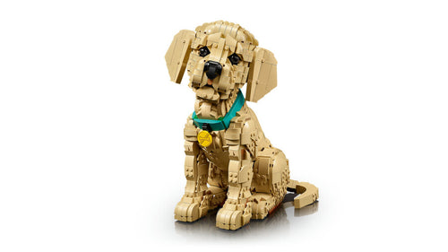 11384 Lego icons Yavru Golden Retriever 2102 parça +18 yaş