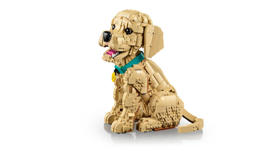 11384 Lego icons Yavru Golden Retriever 2102 parça +18 yaş