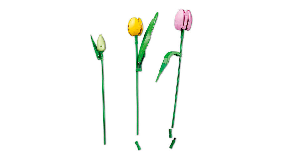 11501 Lego Botanicals Lale Buketi 576 parça +18 yaş