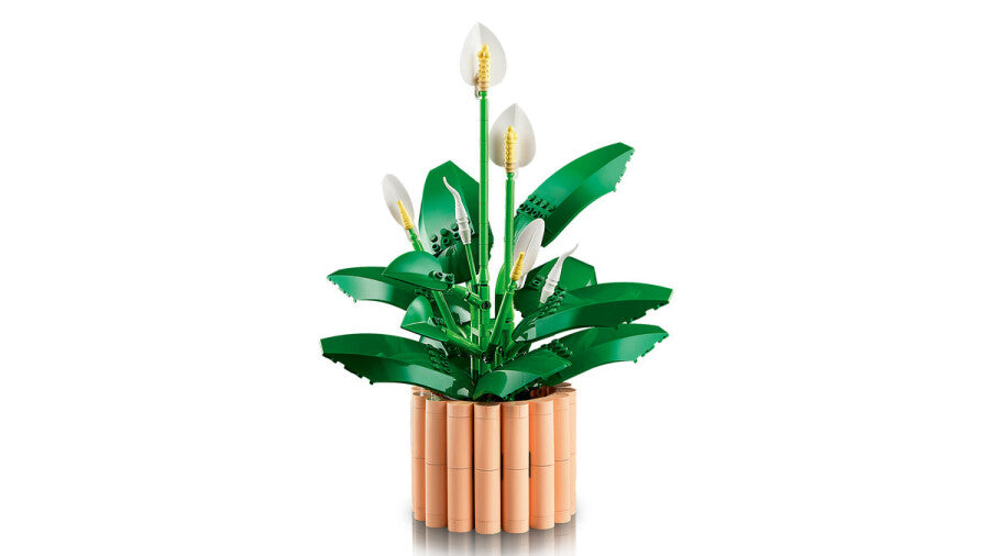 LEGO Botanicals Barış Çiçeği 11504 - 474 Parça Yapım Seti