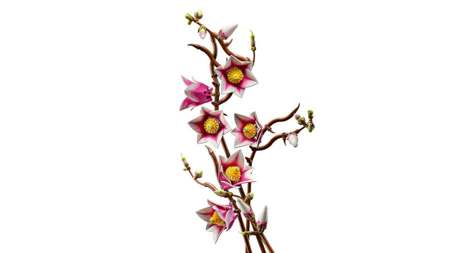 LEGO Botanicals Manolya Dalları 11510 - 435 Parça Yapım Seti