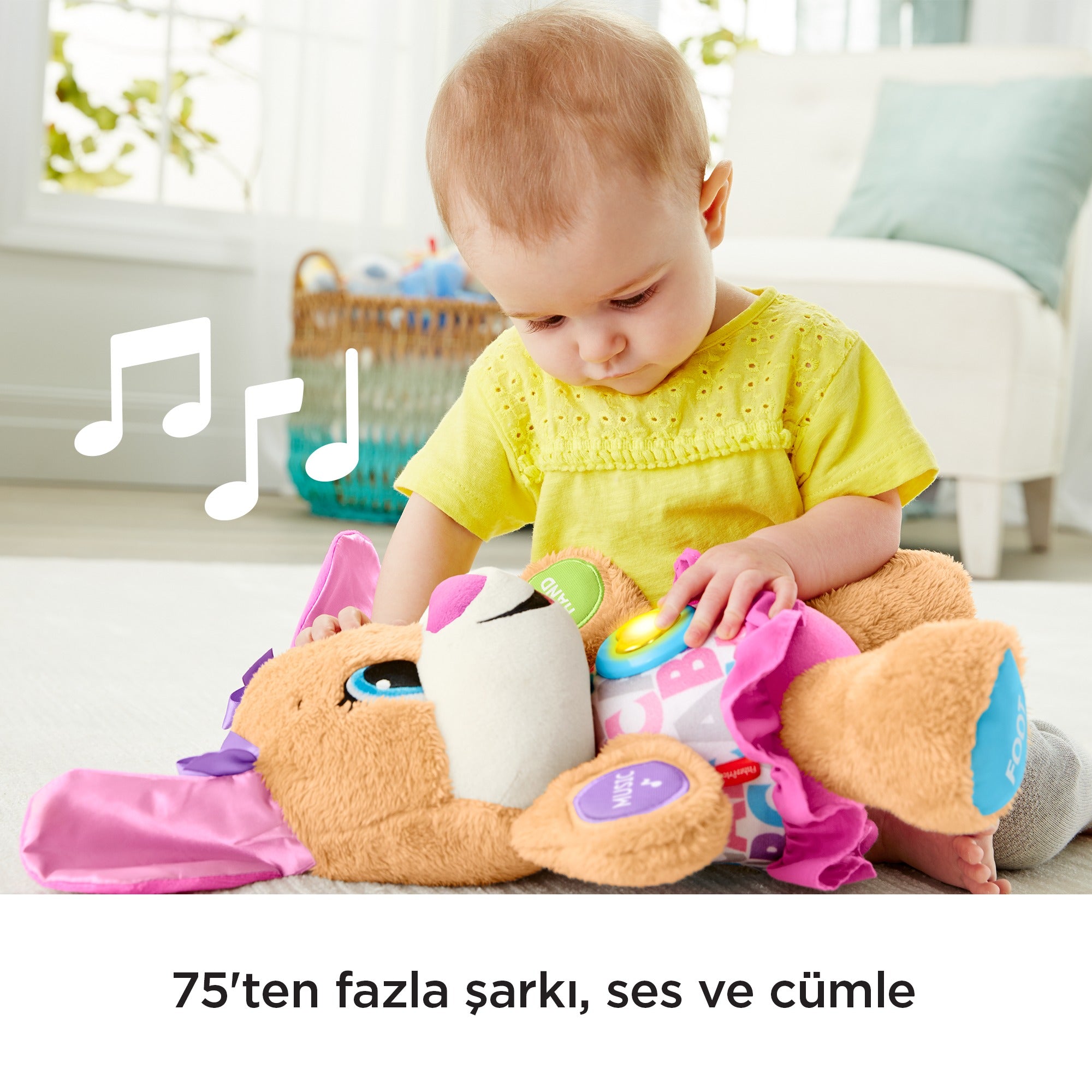 Yasa Gore Gelisim Egitici Kopekcigin Kiz Kardesi