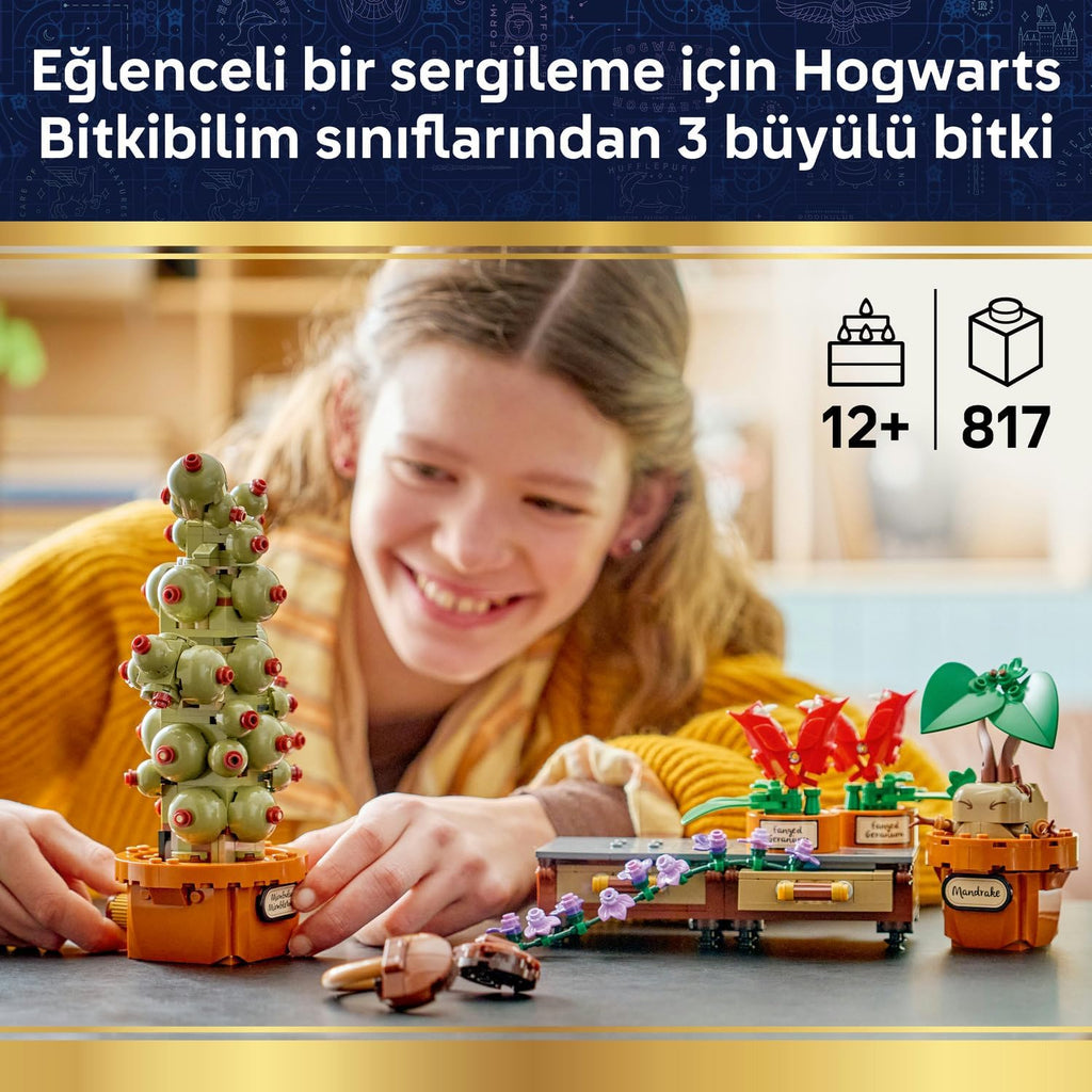 LEGO Harry Potter Hogwarts Bitkibilim Bitkileri 76474 - 817 Parça Koleksiyonluk Yapım Seti (+12 Yaş)