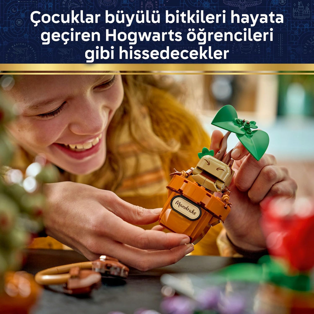 LEGO Harry Potter Hogwarts Bitkibilim Bitkileri 76474 - 817 Parça Koleksiyonluk Yapım Seti (+12 Yaş)