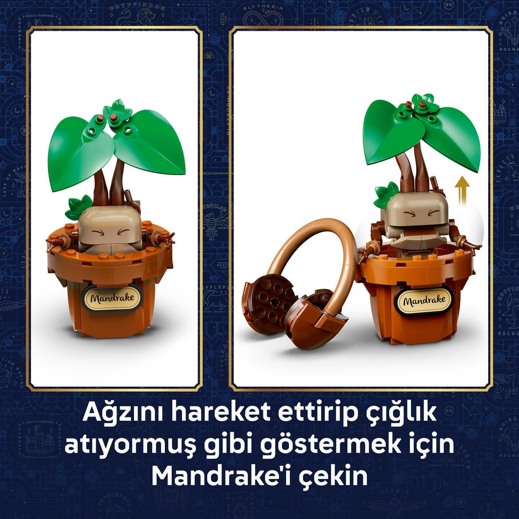 LEGO Harry Potter Hogwarts Bitkibilim Bitkileri 76474 - 817 Parça Koleksiyonluk Yapım Seti (+12 Yaş)