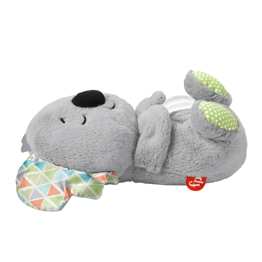 Uyku Arkadaşı Koala