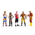 WWE Temel Figür Serisi - 15 cm GDF62