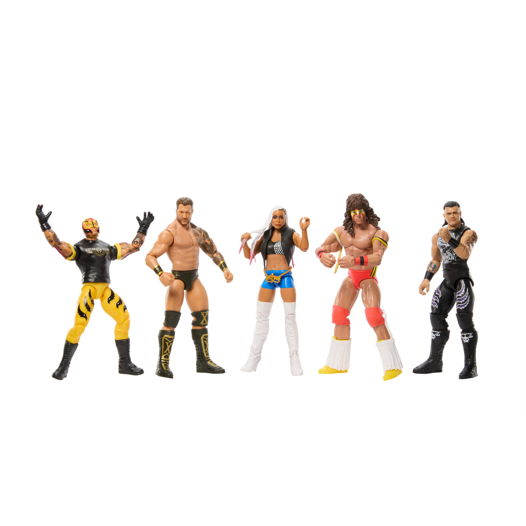 WWE Temel Figür Serisi - 15 cm GDF62