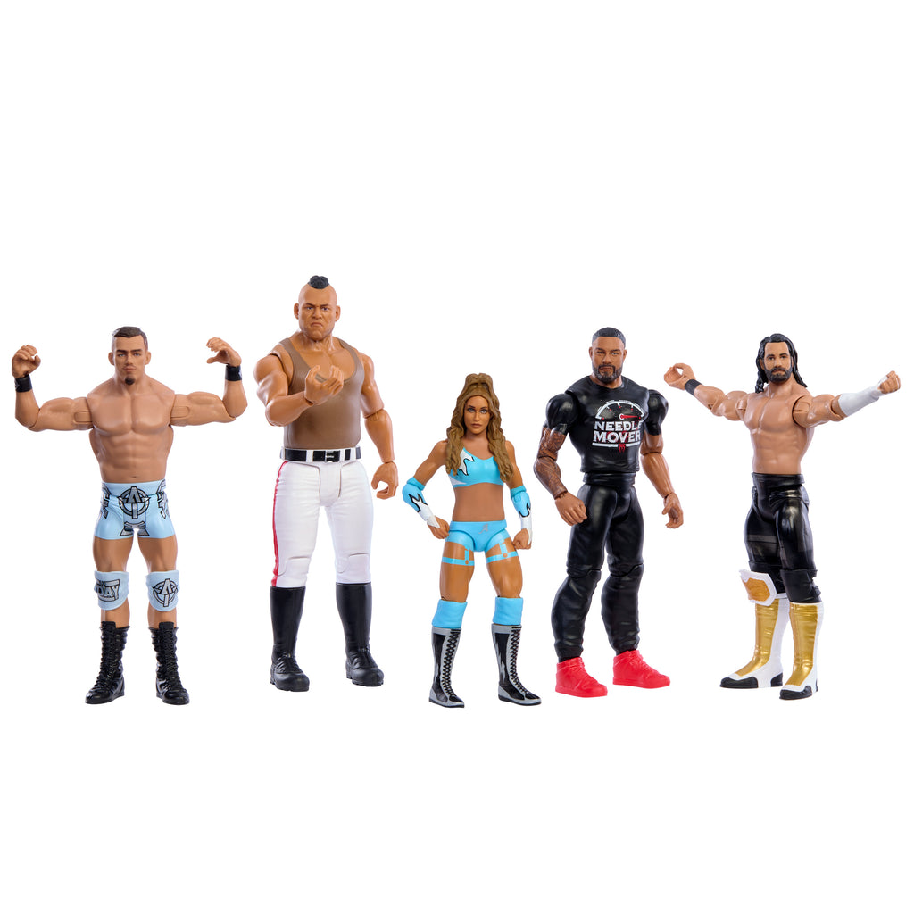 WWE Temel Figür Serisi - 15 cm GDF62