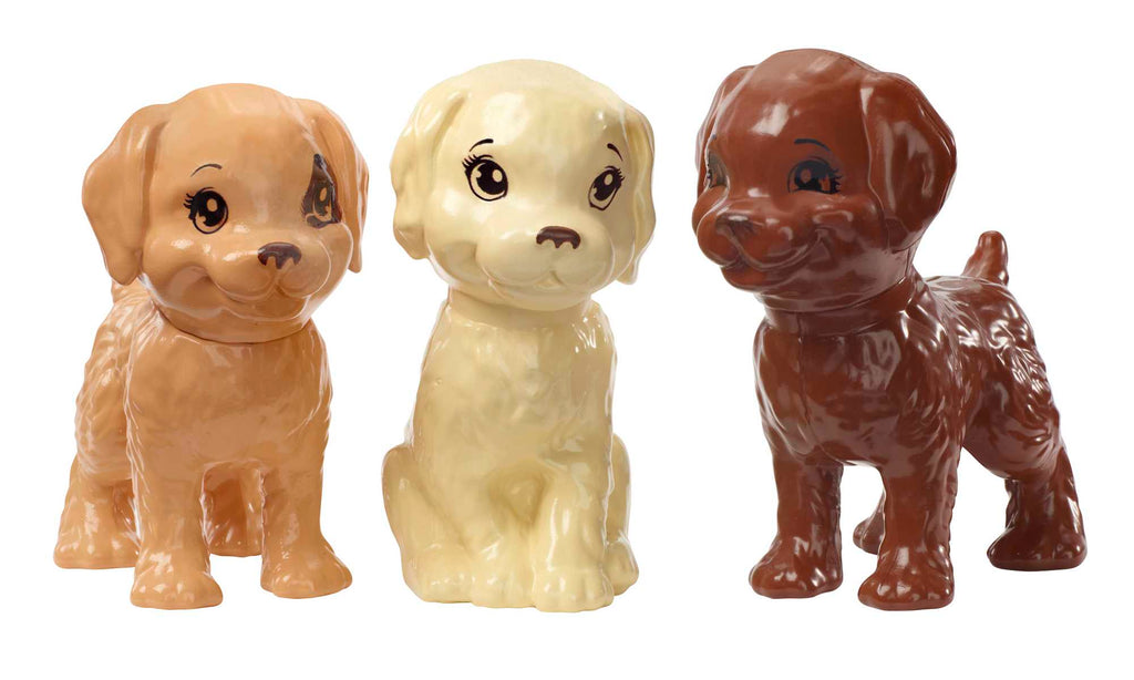 Barbie Bebek ve Aksesuarları - 3 Yavru Köpekli Oyun Seti, Hayvancıklar İçin Küvet ve Aksesuarlar GDJ37