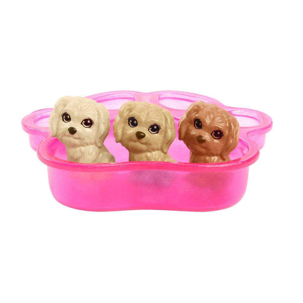 Barbie® ve Hayvan Dostları Oyun Seti, köpek, 3 yavru köpek ve aksesuarlar, 3-7 yaş