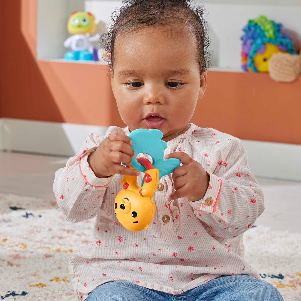 Fisher-Price Sensimals Çıngırak (Sürpriz Asorti)