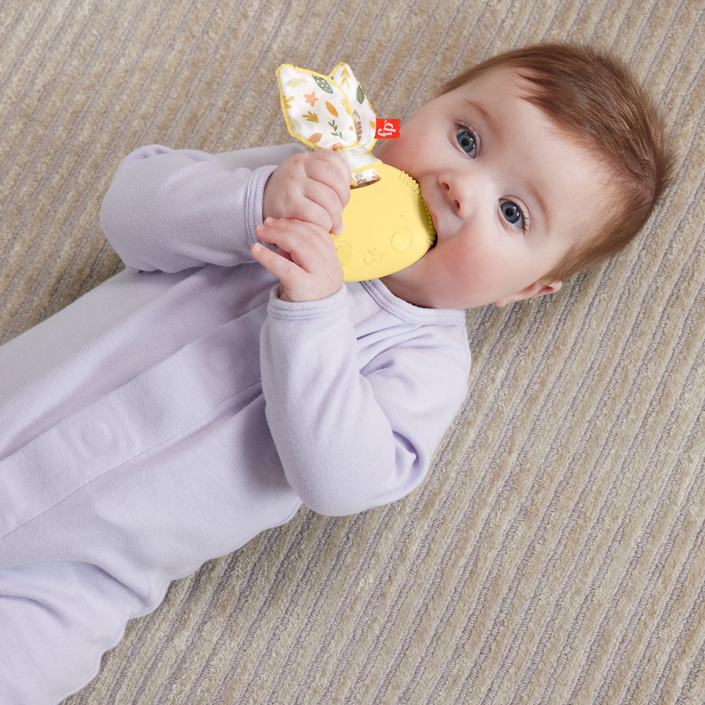 Fisher-Price Sensimals Tavşan Diş Kaşıyıcı Bebek Oyuncağı (3+ Ay)