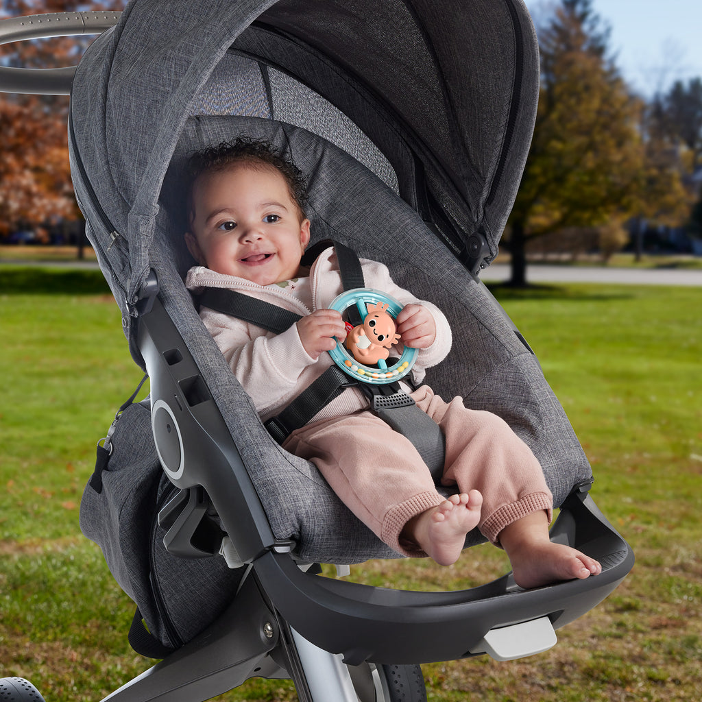 Fisher-Price Sensimals Clack & Quack Kaz Duyusal Çıngırak Oyuncağı - HRB21