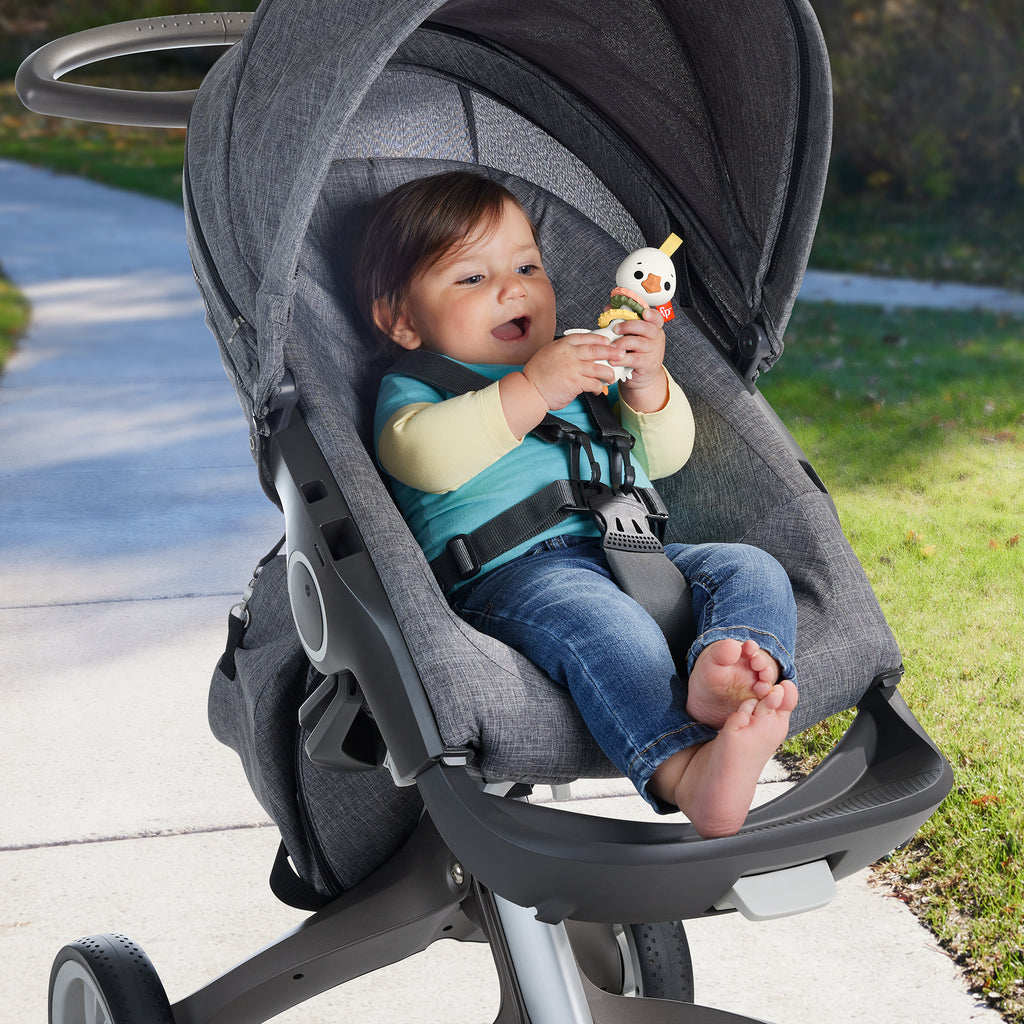 Fisher-Price Sensimals Clack & Quack Kaz Çıngırağı - Duyusal Bebek Oyuncağı (3 Ay+)