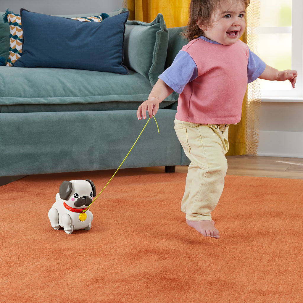 Sesli ve hareketli Fisher-Price FP Pets Yürüyüş Arkadaşı Köpekçik çekçekli bebek oyuncağı