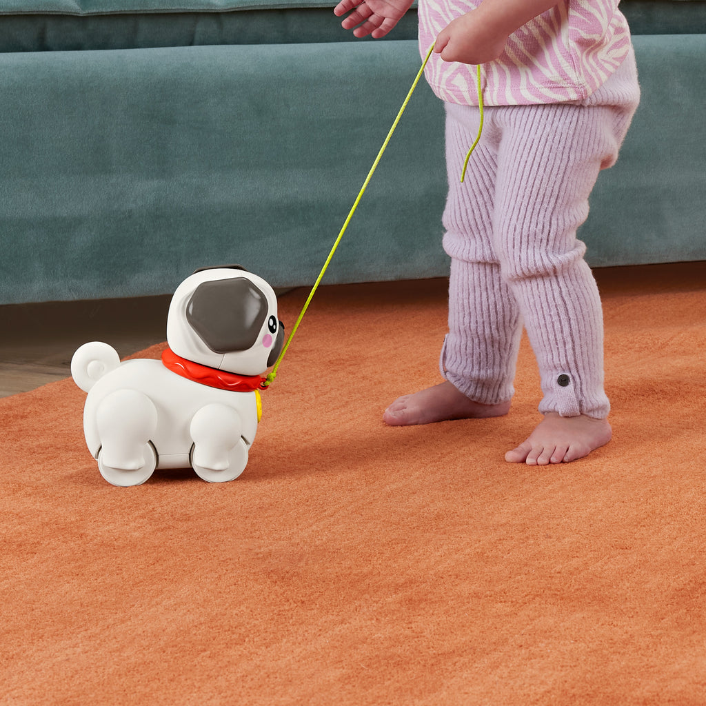 Sesli ve hareketli Fisher-Price FP Pets Yürüyüş Arkadaşı Köpekçik çekçekli bebek oyuncağı