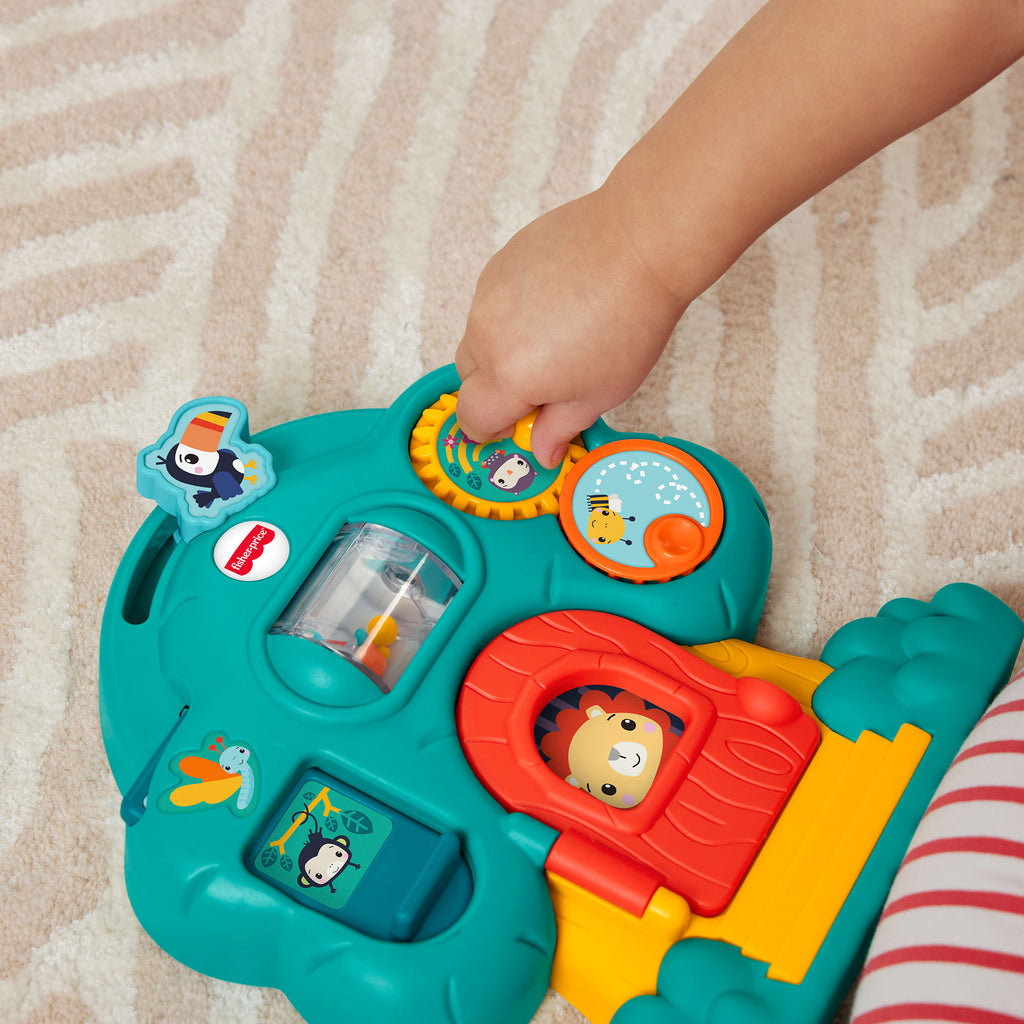 Fisher-Price Hayvan Dostlar Keşif Serisi bebek aktivite oyuncakları koleksiyonu, stiller çeşitlilik gösterebilir