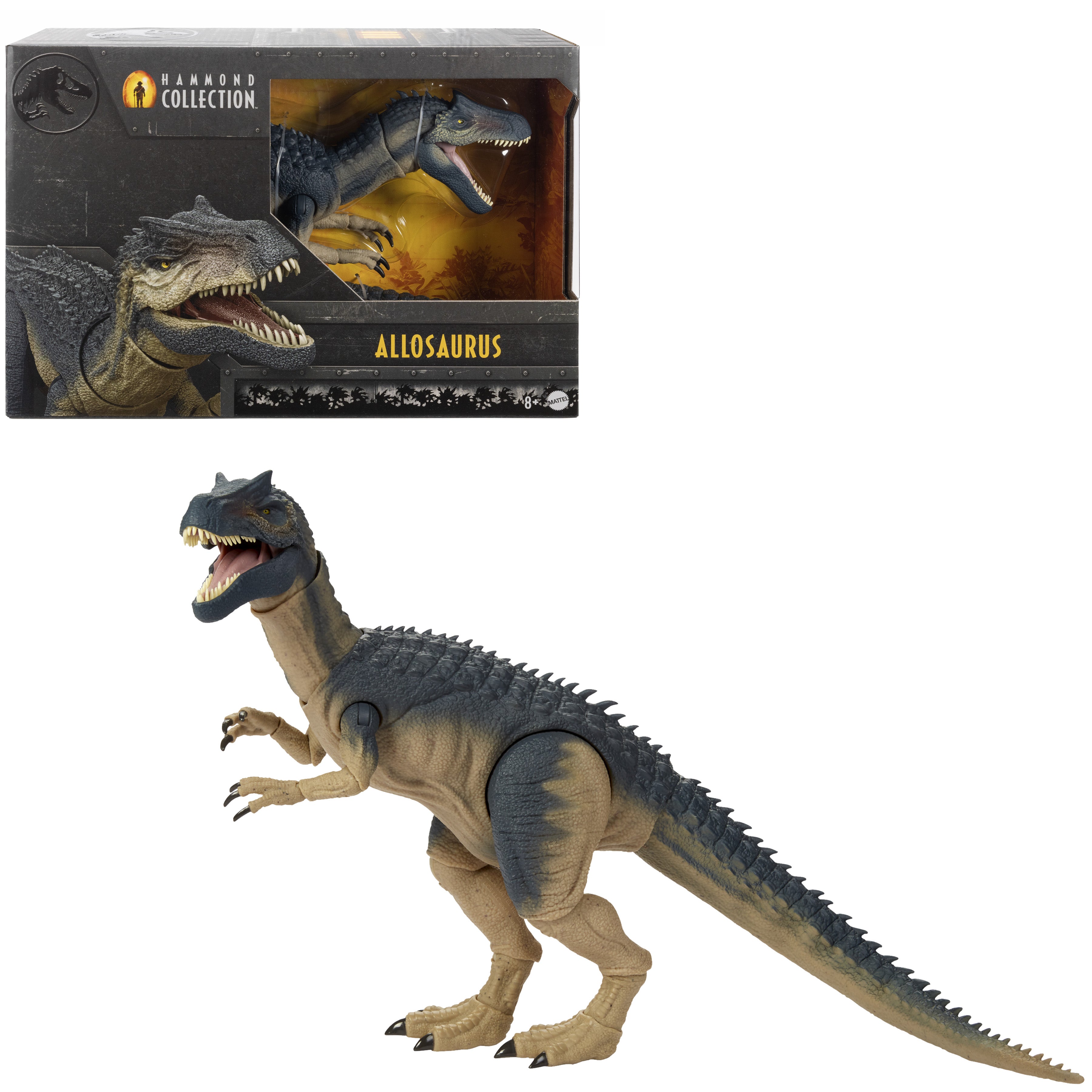 Cam gözleri ve bükülebilir kuyruğu olan Jurassic World Hammond Koleksiyonu Allosaurus dinozor aksiyon figürü
