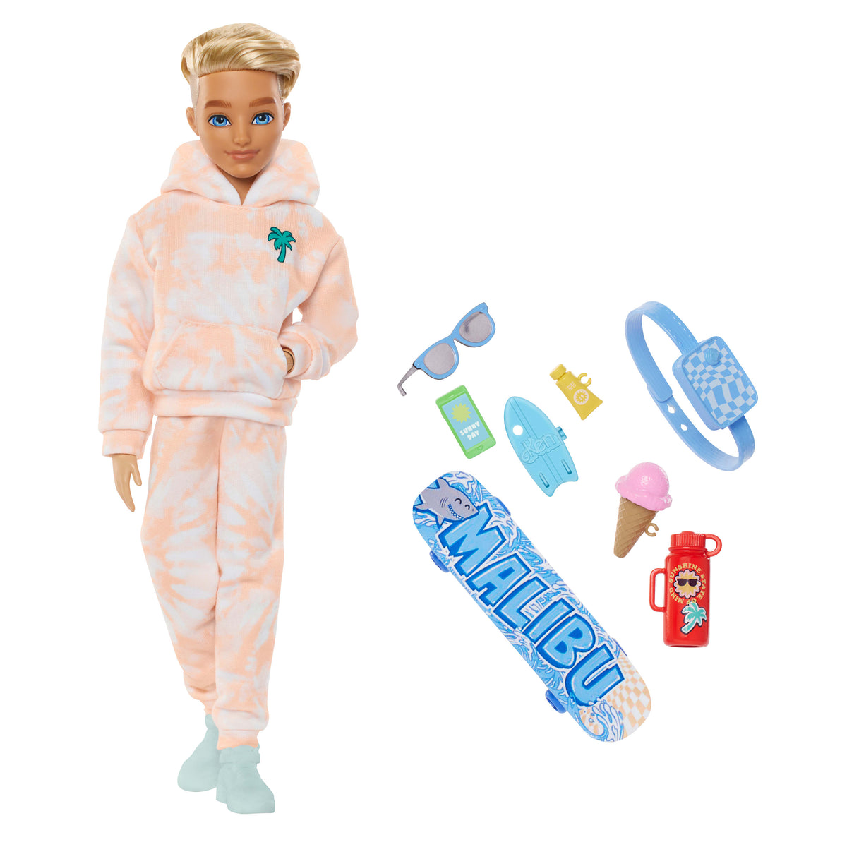 Barbie Rüya Arkadaşlar Ken bebek ile yaz ve kaykay temalı 9 aksesuar