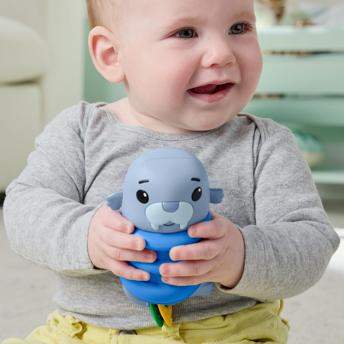 Fisher-Price Deniz Dostları yenidoğan bebekler için silikon çıngırak koleksiyonu, stiller çeşitlilik gösterebilir