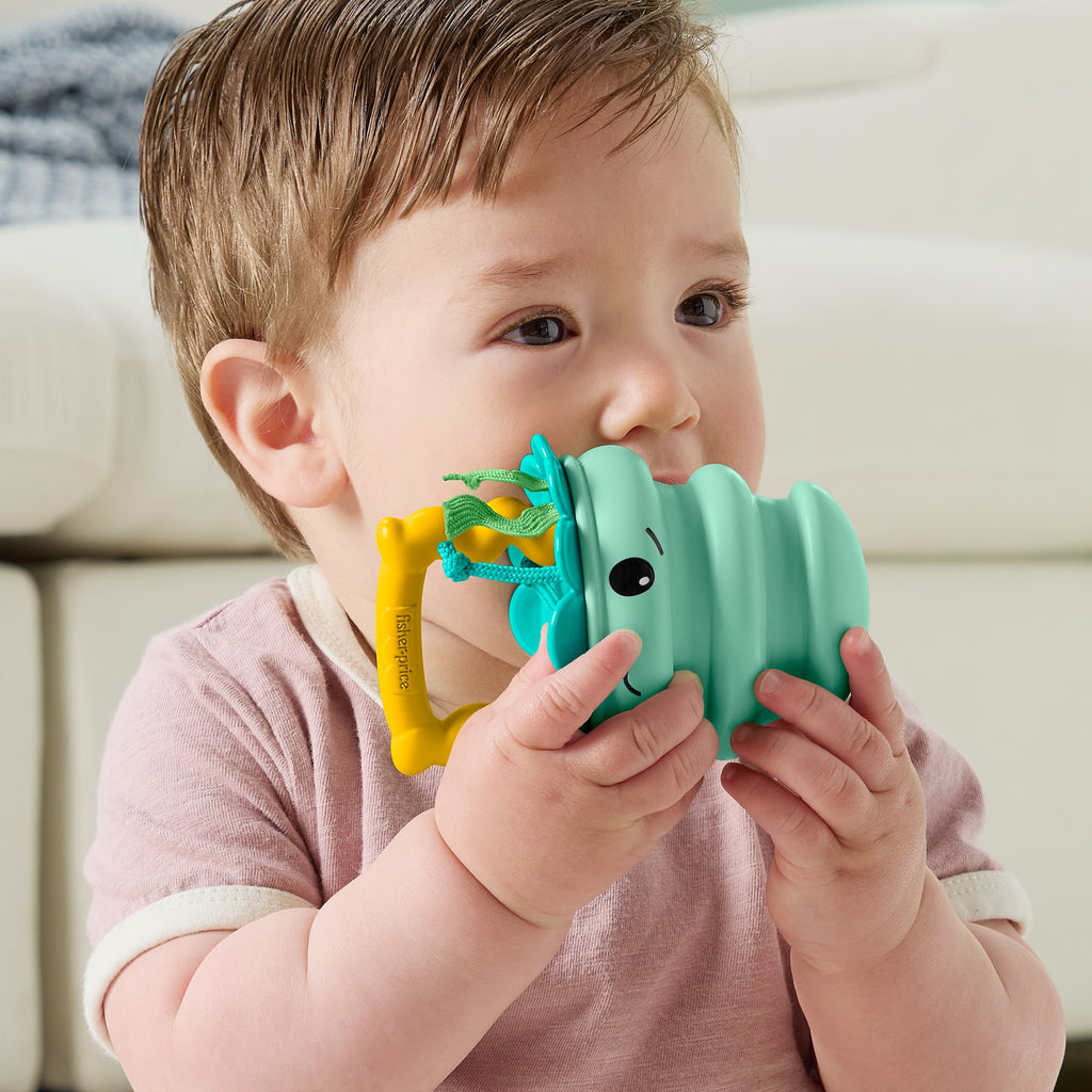 Fisher-Price Deniz Dostları yenidoğan bebekler için silikon çıngırak koleksiyonu, stiller çeşitlilik gösterebilir
