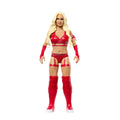 WWE Aksiyon Figürü