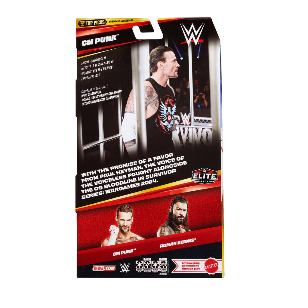 WWE CM Punk Aksiyon Figürü ve Aksesuarları (16 cm)