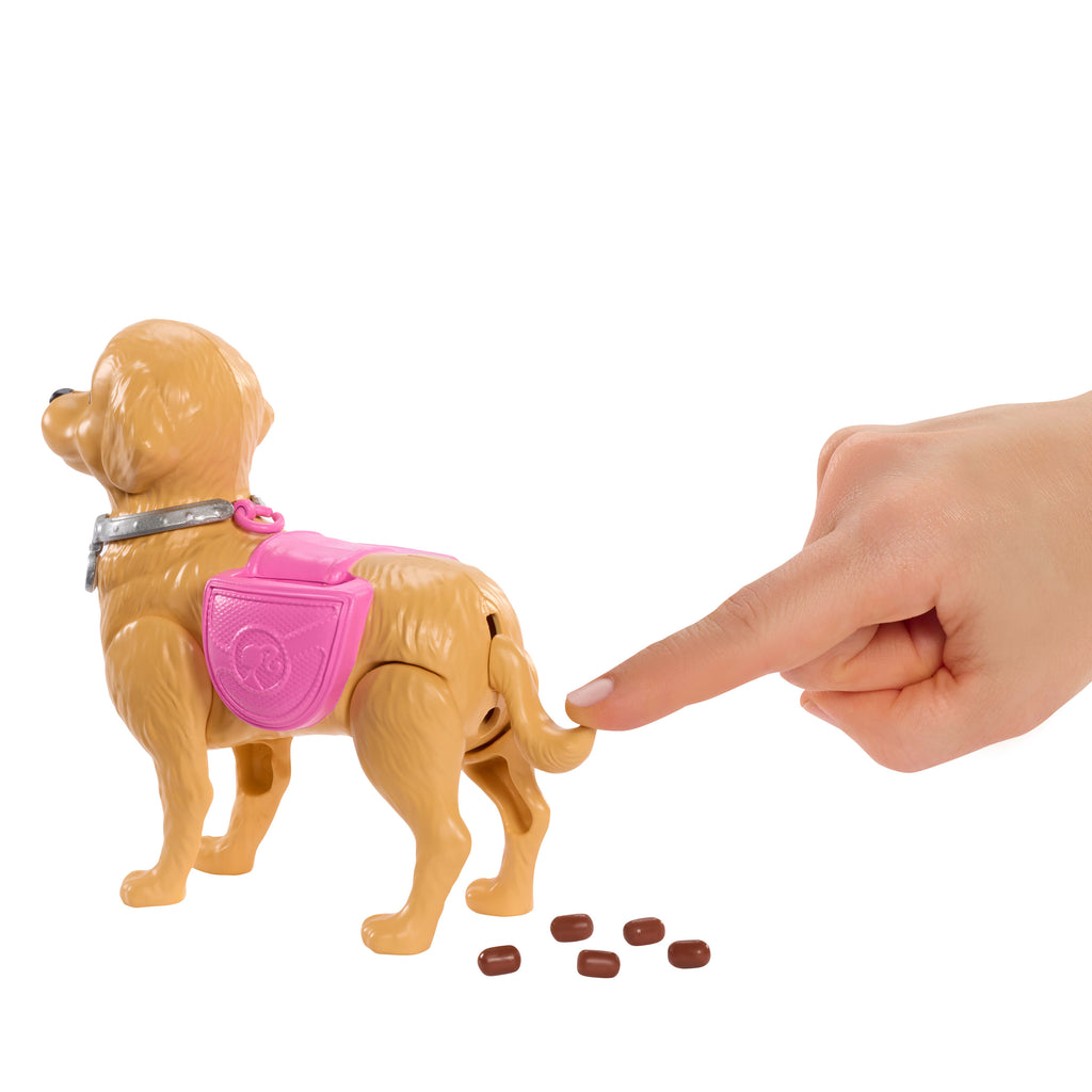 Barbie "Malibu" Köpekçiğin Yürüyüş Zamanı oyuncak seti; bebek, tuvalet yapabilen evcil köpek ve aksesuarlar