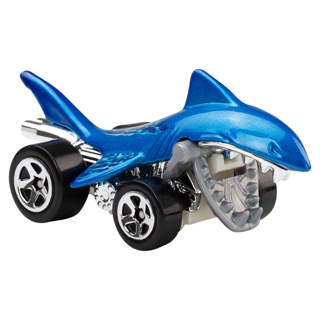 Hot Wheels 5'li Araba Seti (Sürpriz Asorti)