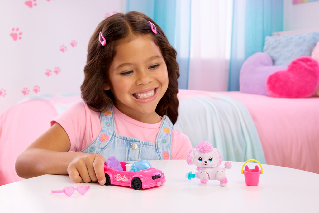 Barbie Dream Squad Evcil Kaniş ve Üstü Açık Araba
