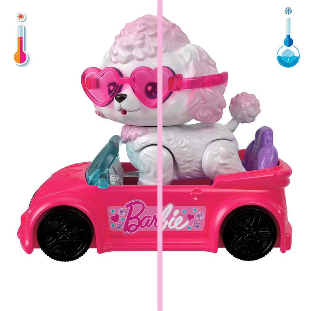 Barbie Dream Squad Evcil Kaniş ve Üstü Açık Araba