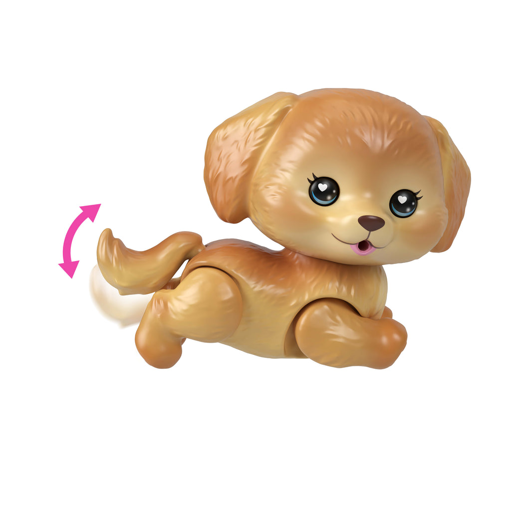 Barbie Dream Squad Evcil Köpek ve Havuz