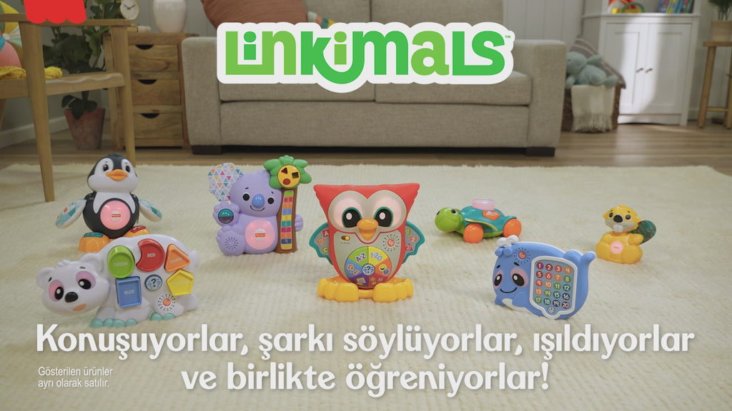 Linkimals Bilge Baykuş - Türkçe