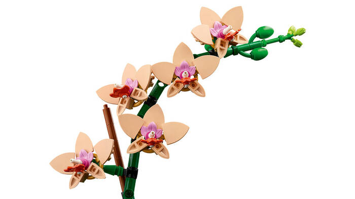 LEGO LEGO Botanicals Mini Orkide 10343 - 274 Parça Yetişkin Yapım Seti