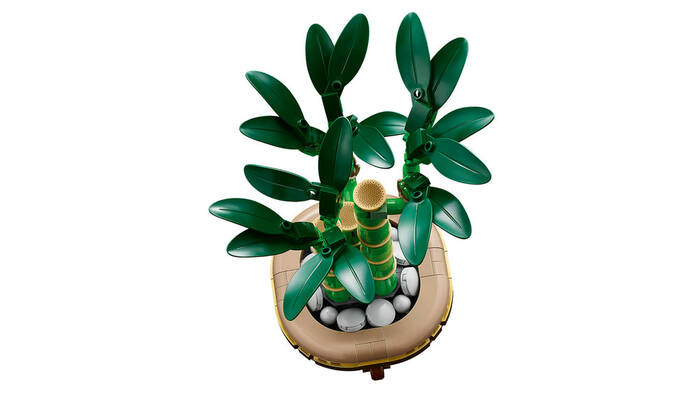 LEGO LEGO Botanicals Şans Bambusu 10344 - 325 Parça Yetişkin Yapım Seti