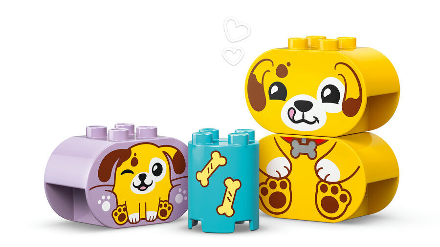 10441 Lego Duplo Bul-Tak Köpek Evi 17 parça +1,2 yaş